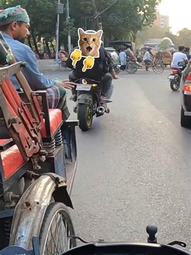 মামা তো কড়া। কি সিগনাল দিল #শর্টস #short #bikelife #viral #tesla