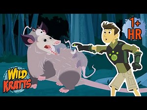 Baby Opossum Rescue | Creature Rescues | Wild Kratts
