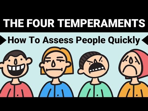 What Is a Sanguine Temperament? Everything You Need to Know