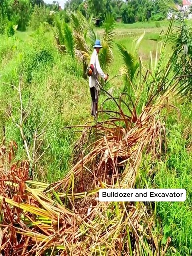 Bulldozers reshape the Landscape, tree removal. | Bulldozer Excavator