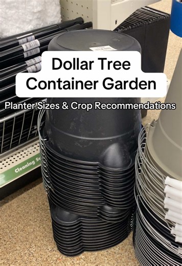Starting a garden doesn’t have to be expensive. Here are some affordable @Dollar Tree containers you could use & some ideas on what you could plant in them to start growing your own food on a budget! DO NOT FORGET TO ADD DRAINAGE HOLES! #gardeninghacks #containergarden #dollartreehaul #LearnOnTikTok #TikTokLearningCampaign