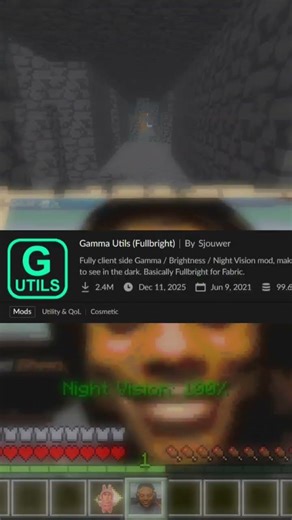 No more darkness in caves!The Gamma mod lets you see everything clearly. #Minecraft #MinecraftMods