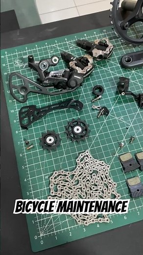 Gravel / cyclocross bike giant TCX maintenance