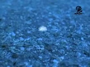 We love this Dunkin Donuts commercial from 2001. 😄 Who else is out there still waiting for snow? It's almost the end of December and some guys haven't even thrown salt down yet! Get in the game today with Procursys and join us in connecting service providers, property owners, and facility managers across the nation. There's a better way. #GiveWorkGetWork #PropertyManagement #FacilityManagement #PropertyOwner #FacilityServices #landscapingservices #landscaping #commercialservices #snowandiceremo