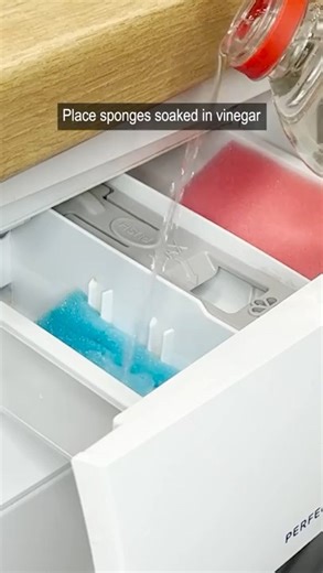 I put sponges in the washing machine drawer and pour vinegar. Mold disappears instantly
