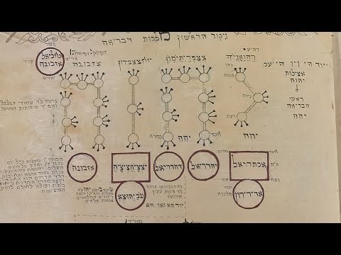 The secret of immortality