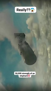 152K views · 2.1K reactions | Atomic Bomb That Have 50,000 Strength Of An Elephant⁉️ #science #facts #atomic #atomicbomb | Sci-Facts | Facebook