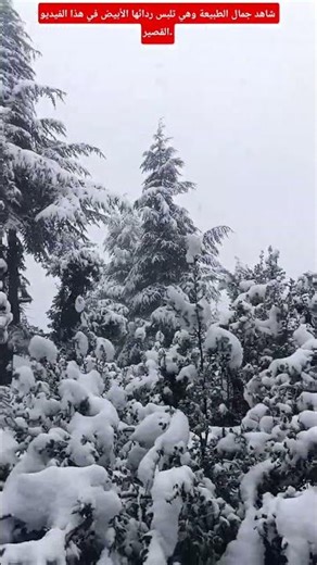 شاهد جمال الطبيعة وهي تلبس ردائها الأبيض في هذا الفيديو القصير.