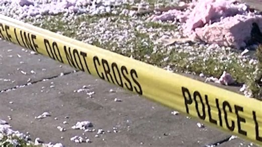 Drunk man destroys a house with an excavator