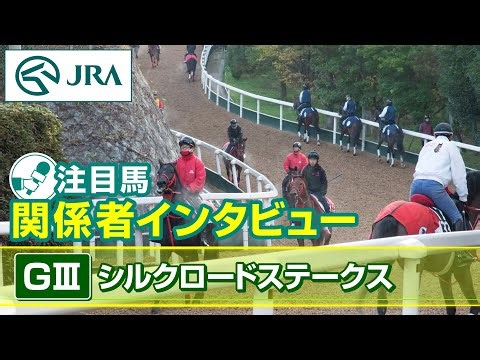 [Featured Horses and Interviews] 2026 Silk Road Stakes | JRA Official