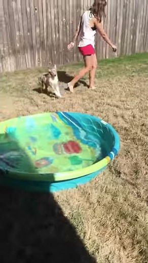 Minka in the pool