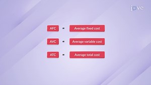 Video: Average Fixed, Average Variable, and Average Total Cost II