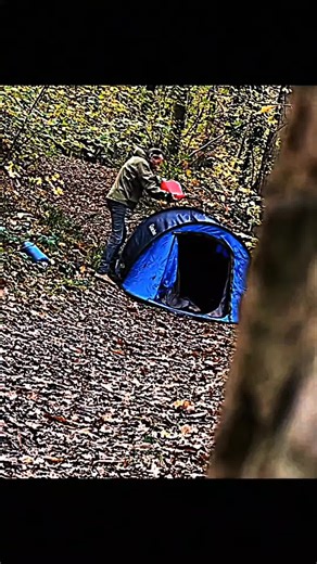 The Forest - Part 2: Intruder Encounter