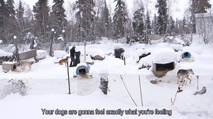 Young community members learn to work with sled dogs and carry on a unique tradition. | Denali National Park and Preserve