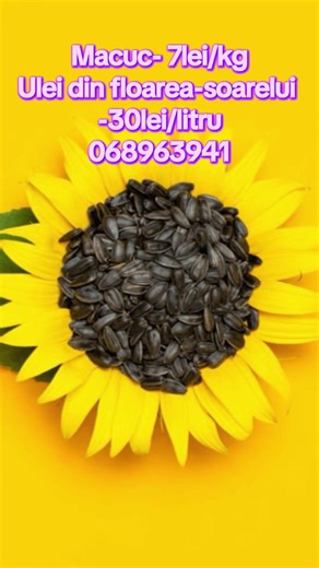 Olga Certan on TikTok