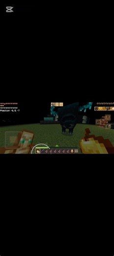 How to kill the warden in net pot pvp