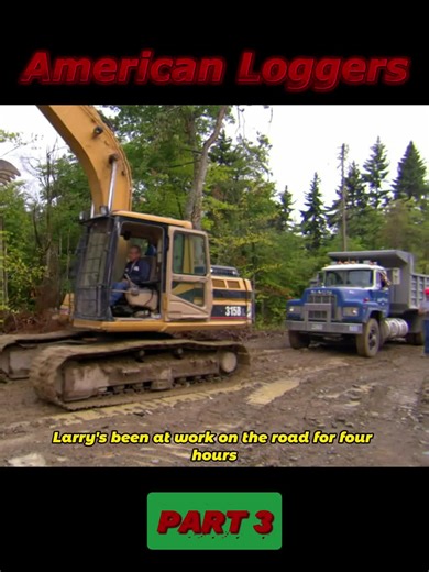 The World of Heavy Machinery in Logging