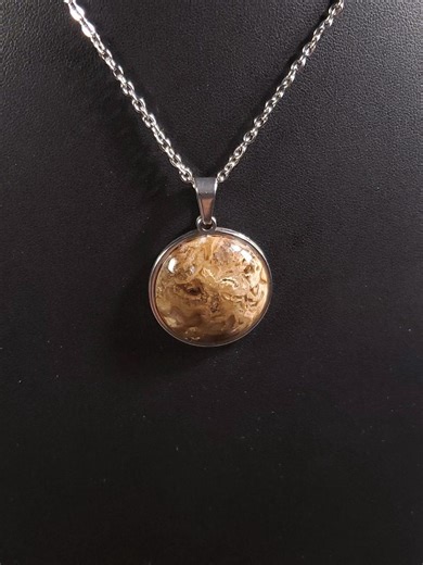 PS3106 Stromatolite - Etsy