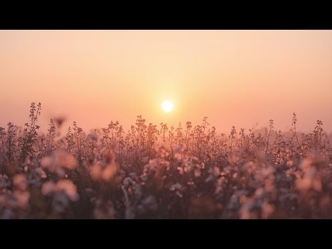 Good Morning Music 🌞💛 Beautiful Zen Relaxing Piano for Day Start & Clear Mind 🎹🎼 موسيقى صباحية هادئة