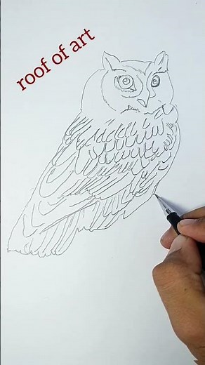 How to Draw an Owl Step by Step | Easy Owl Drawing Tutorial for Beginners #sketch #easydrawing #art