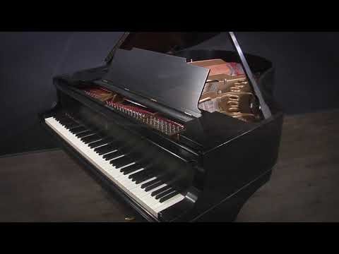Steinway Model M 5'7" Grand Piano (#172096)