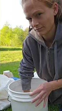 Brooder Setup for Newborn Quail #quail #hatching #shorts #chicks #babychicks