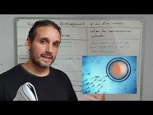 Reproduction humaine Ce1d 2018 Question 7