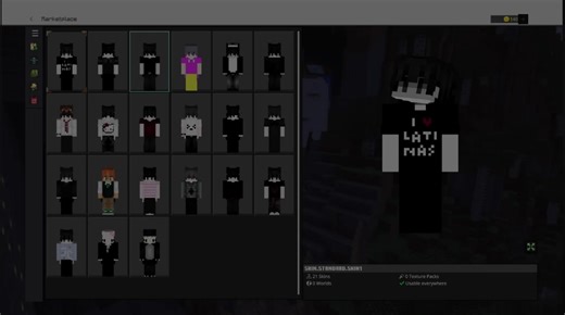 Minecraft Bedrock Skin Packs for MCBE