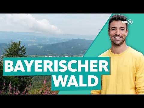 Bayerischer Wald - Deutschlands wilder Wald | Wunderschön | ARD Reisen