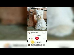 How to Download Pinterest Videos In Android