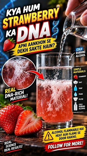 Strawberry Se DNA Kaise Nikale? 😱🧬#shorts #science #strawberry #youtubeshorts #deeprakalakritiai