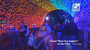 75K views · 3K reactions | USA Today announced the results of their 2018 10Best Poll for Best Zoo Lights contest today, and the Cincinnati Zoo & Botanical Garden’s PNC Festival of Lights took the top spot! | Cincinnati Zoo & Botanical Garden | Facebook