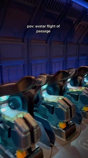 Avatar Flight of Passage Virtual Ride Experience at Disney World