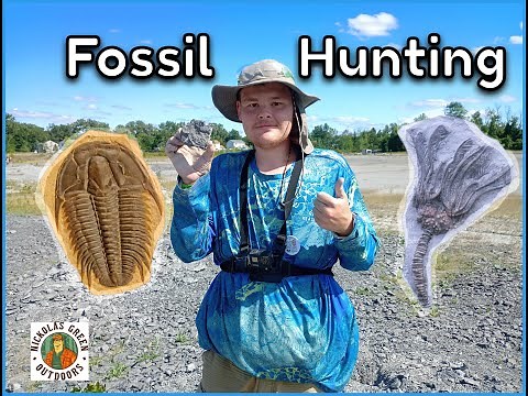 Digging For Trilobites! Penn Dixie Fossil Park