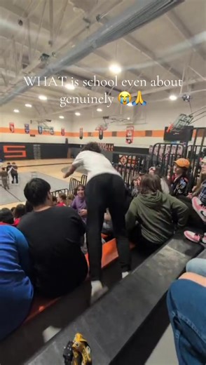 Understanding School Life: The Real Deal