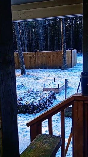 I got what I wanted for Christmas #snowfall