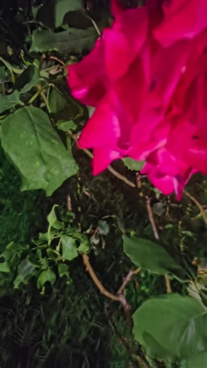 Ivan cornejo... 😔✌️✌️✌️✌️💗💗 baby pleaseeeeeeeeeeee @Ivan bruh #ivancornejo #fyp #fypシ #foryou #paratiiiiiiiiiiiiiiiiiiiiiiiiiiiiiii