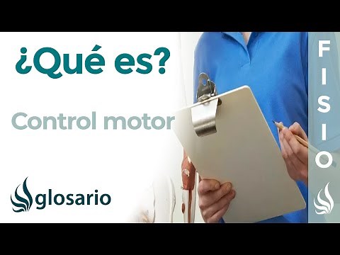 MOTOR CONTROL | What it is, its principles, its function, what pathologies affect it, and how it ...