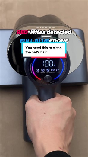 Essential Tool for Cleaning Pet Hair
