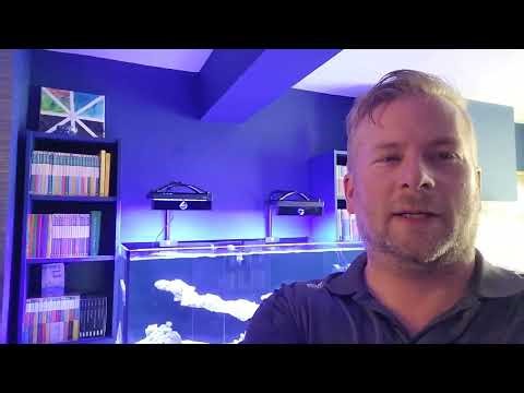 4# A8 pro reef lights