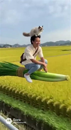 A Man in Taiwan Riding a Floating Scallion… With a Cat on His Head! 在台灣宜蘭，大家都是這樣出門上班的!
