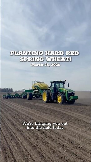 Planting Hard Red Spring Wheat | Janie's Mill