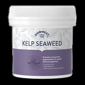 Kelp Seaweed Powder for Dogs & Cats | Dorwest Herbs
