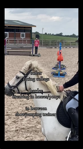 Horse Racing Techniques for Jumping Success