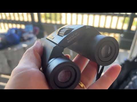 Nikon Trailblazer Binocular Review