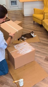 93K views · 321 reactions | Your Cat Will Love This DIY Cardboard Castle! | 5-Minute Crafts Men | Facebook