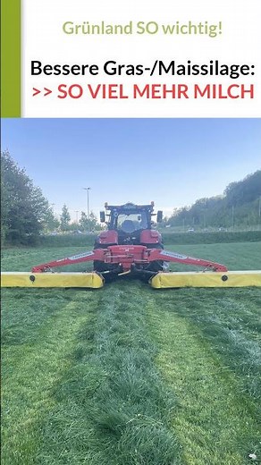 MEHR Milch durch bessere Grassilage + Maissilage + Kraftfutteraufwand der Milch sinkt! #milch