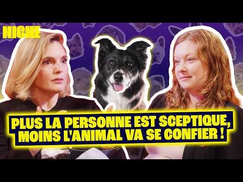 When dogs talk to us