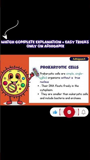 Cells Without Nucleus? 😱 | Prokaryotic Cell Explained