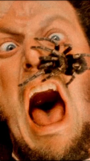 Cinemastalgia on Instagram: "As Home Alone moved into its most famous sequences, the filmmaking became less about improvisation and more about precision. Every fall, hit, and collision had to look chaotic while remaining repeatable and controlled. Inside the gym-built house, the stunt team rehearsed these moments like choreography, mapping steps, timing swings, and managing momentum down to inches. Nothing was accidental. The icy stairs were layered for predictable sliding. The paint cans were w